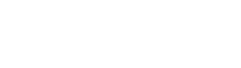 storyviewe-logo